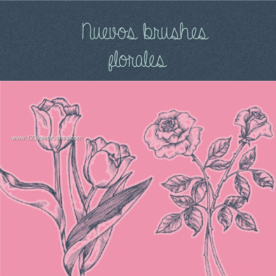 Drawn Flowers Drawn Flowers