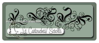 Floral Cartouches – Scrolls