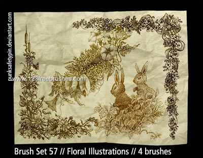 Floral Illustrations