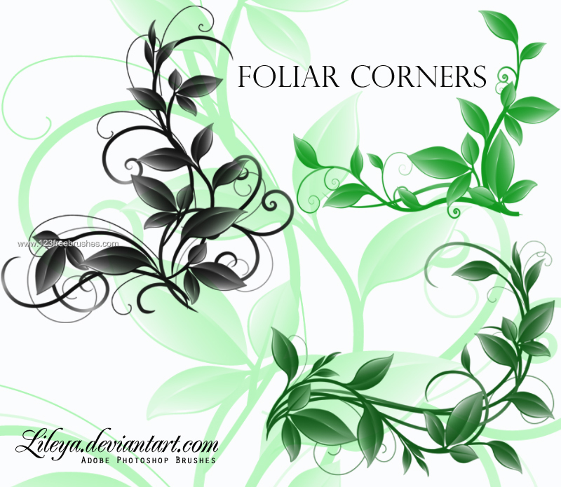 Foliar Corners