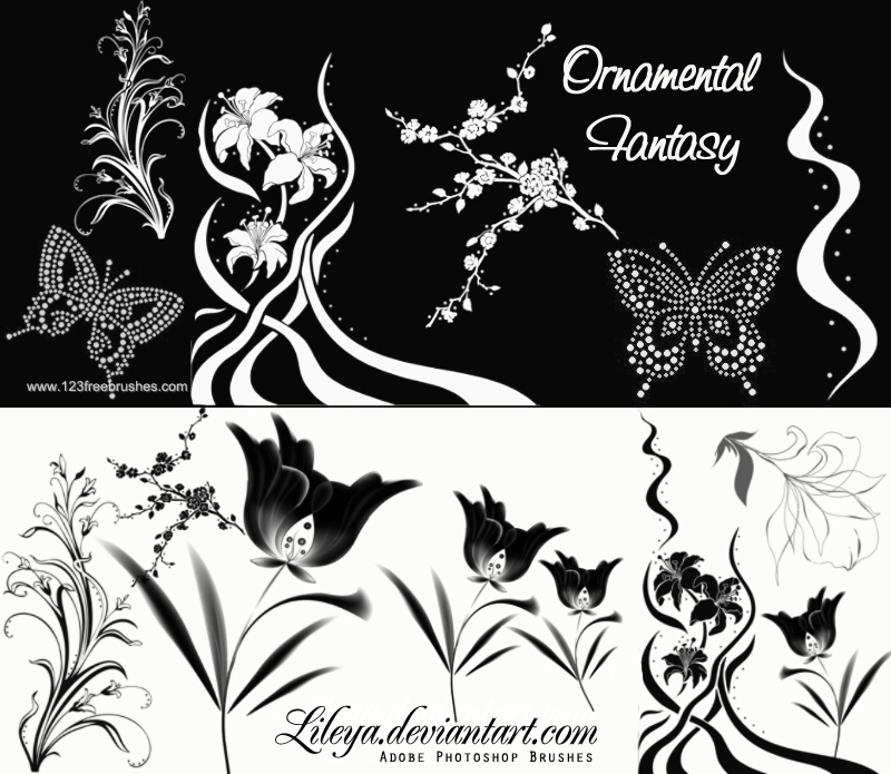 Ornamental Fantasy