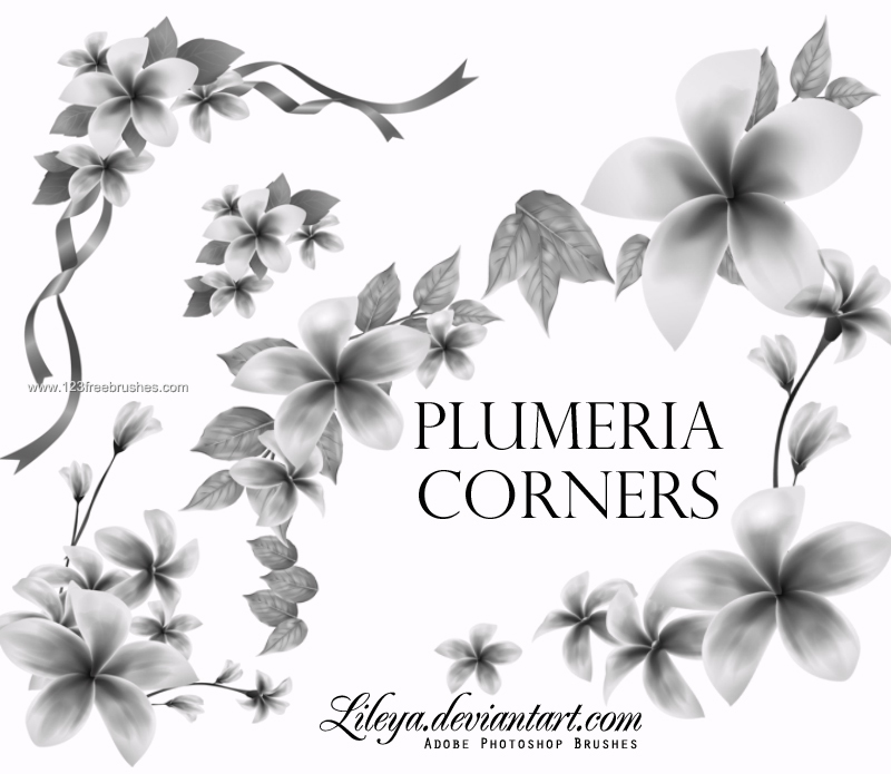 Plumeria Corners