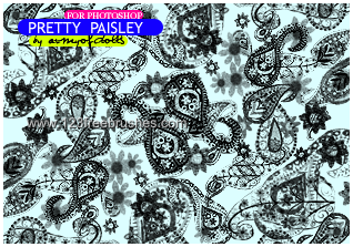 Pretty Paisley