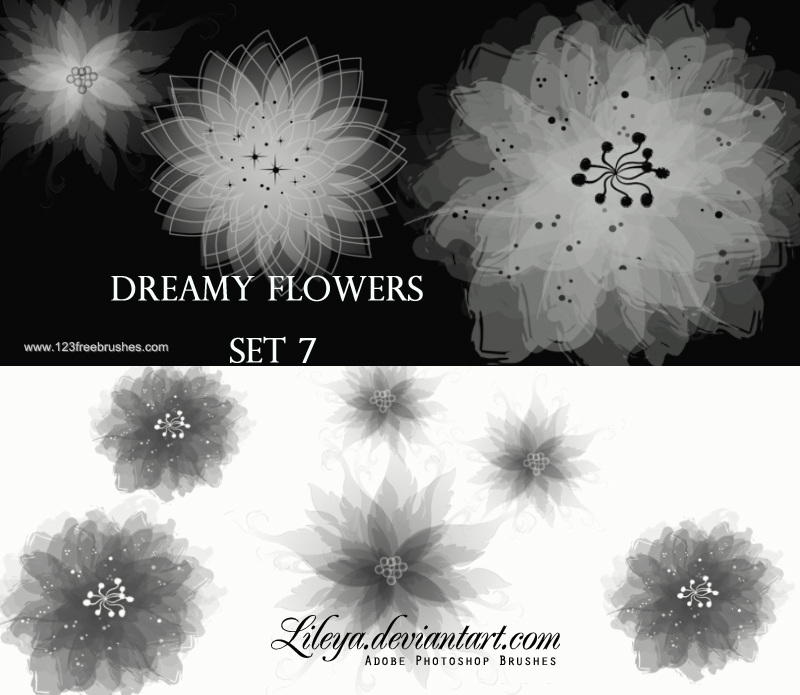 Dreamy Flowers