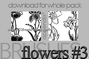 Flower Brushes Download