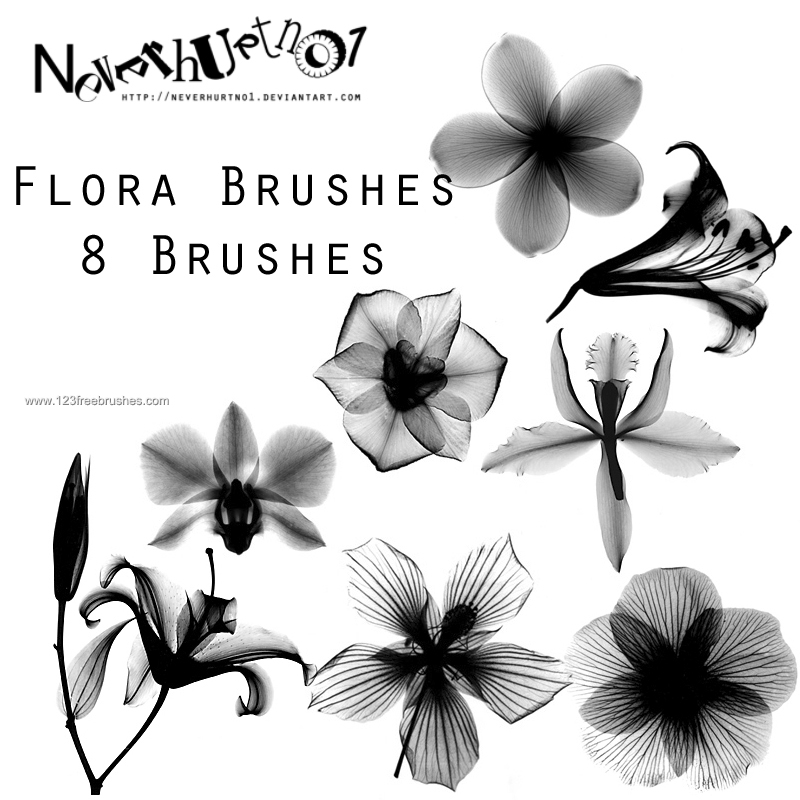 brushes in photoshop cs5 free download