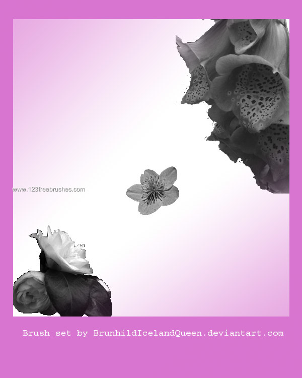 Photoshop Floral Brushes Free Download
