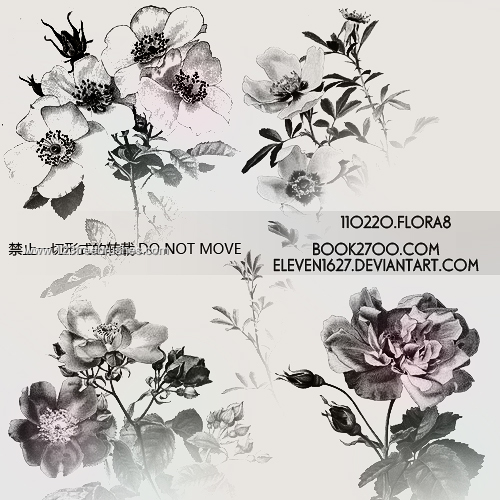Flowers Brushes Photoshop Free Download