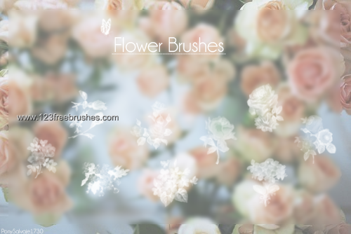 Flower Brushes Cs6 | Photoshop Free Brushes | 123Freebrushes