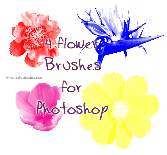 Flower Brushes High Resolution
