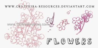 Flower Brushes In Photoshop Free Download