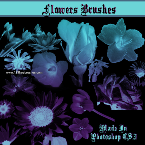 Floral Brushes In Photoshop Cs5