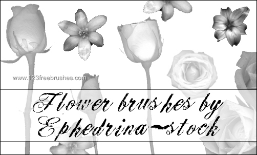 Flower Brushes Photoshop Mac