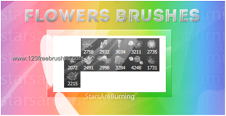 Flower Brushes For Photoshop Cs3