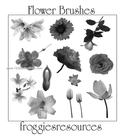 Floral Brushes Mega Set