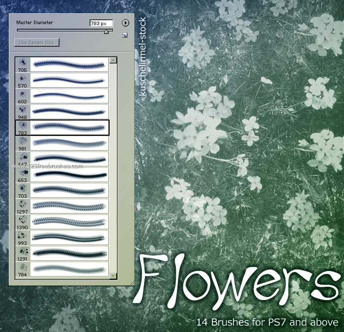 Flower Brushes Photoshop Cc
