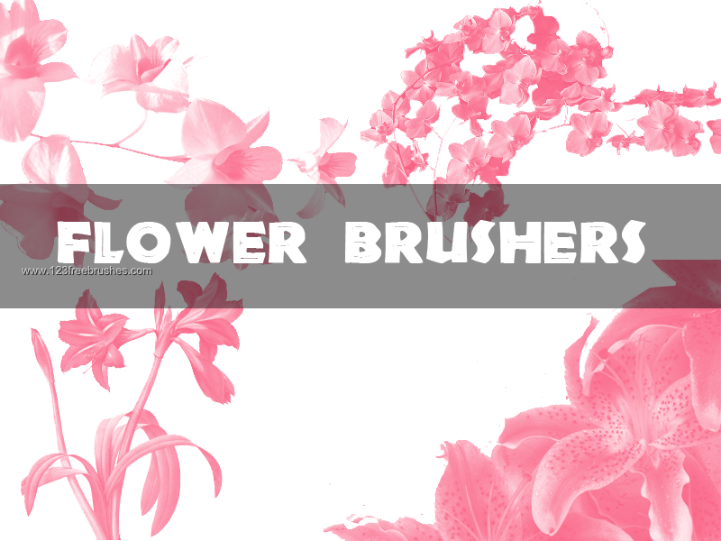 adobe photoshop free brushes download cs5