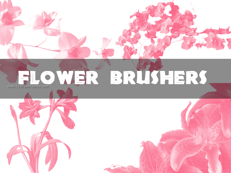 adobe photoshop cs5 floral brushes free download