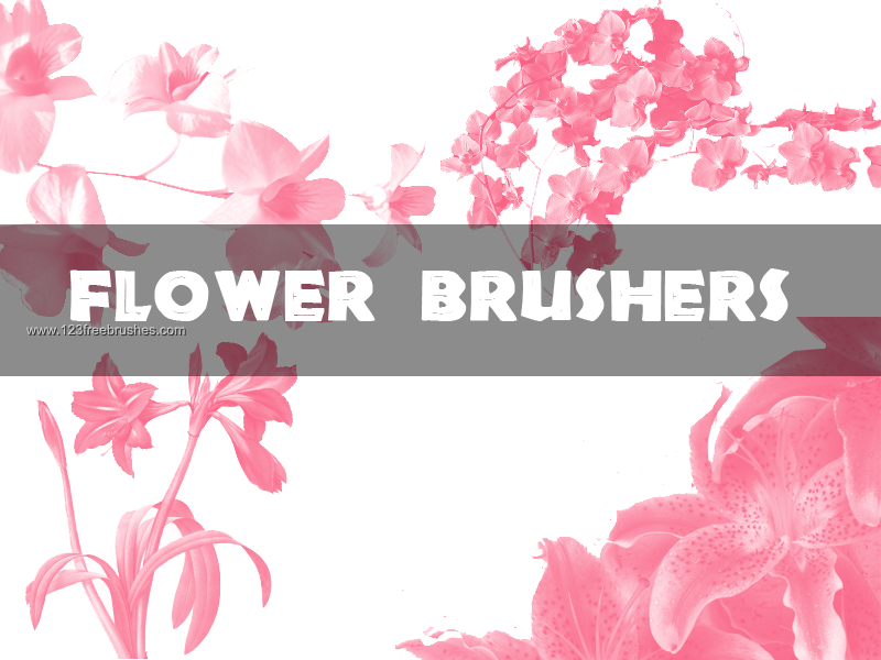 Flower Brushes Photoshop Cs5