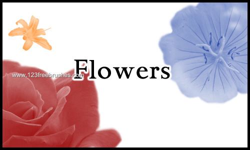 Flower Brushes Photoshop Download