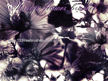 Flower Brushes Photoshop Cs5 Free Download