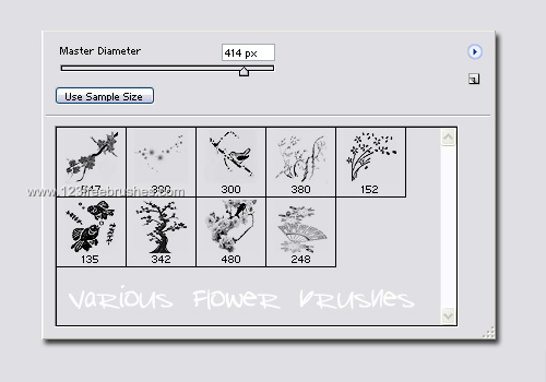 Ps 6 Flower Brushes Free