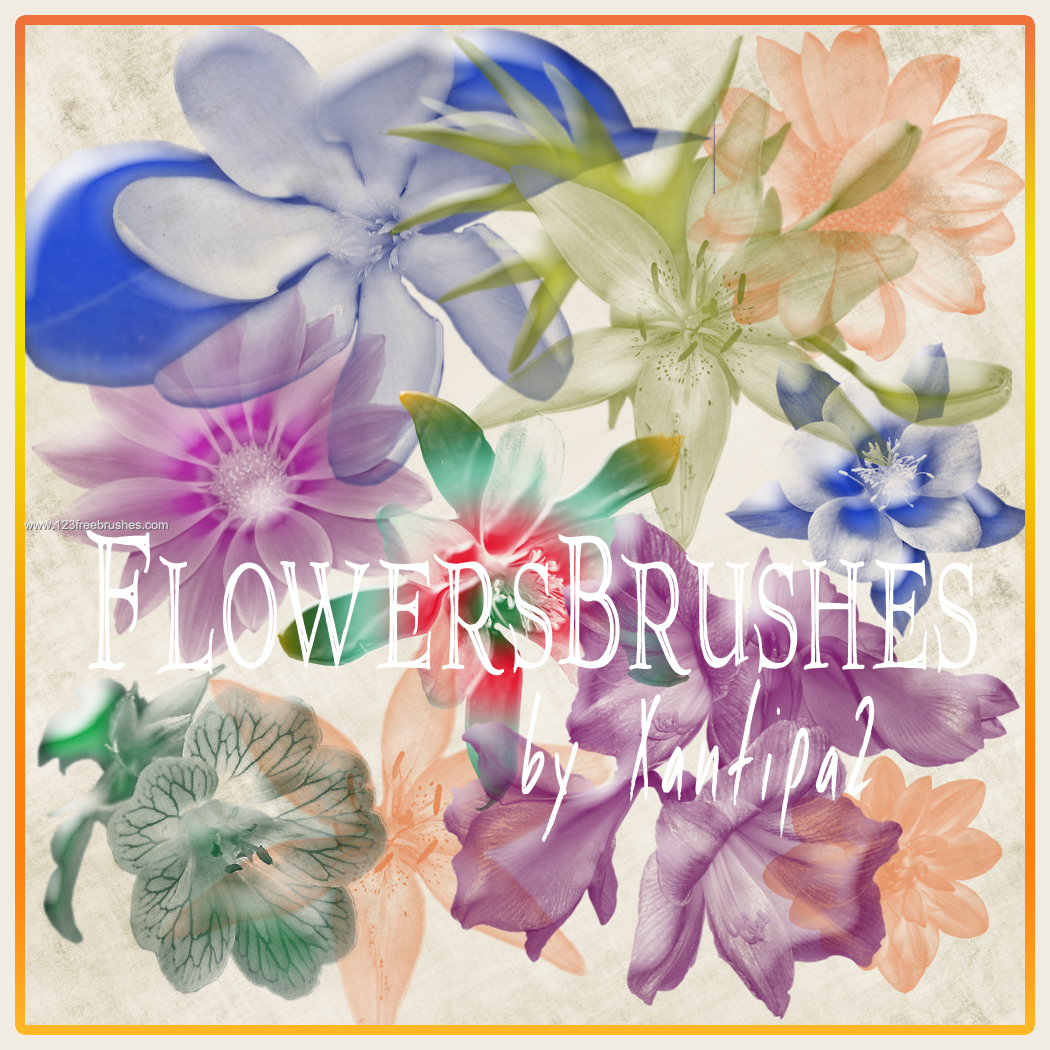 Floral Elements Brushes