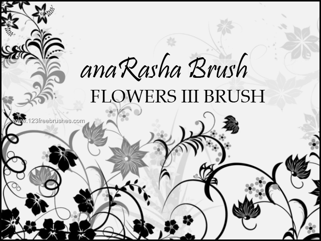 Floral Ornament Brushes For Photoshop Cs5