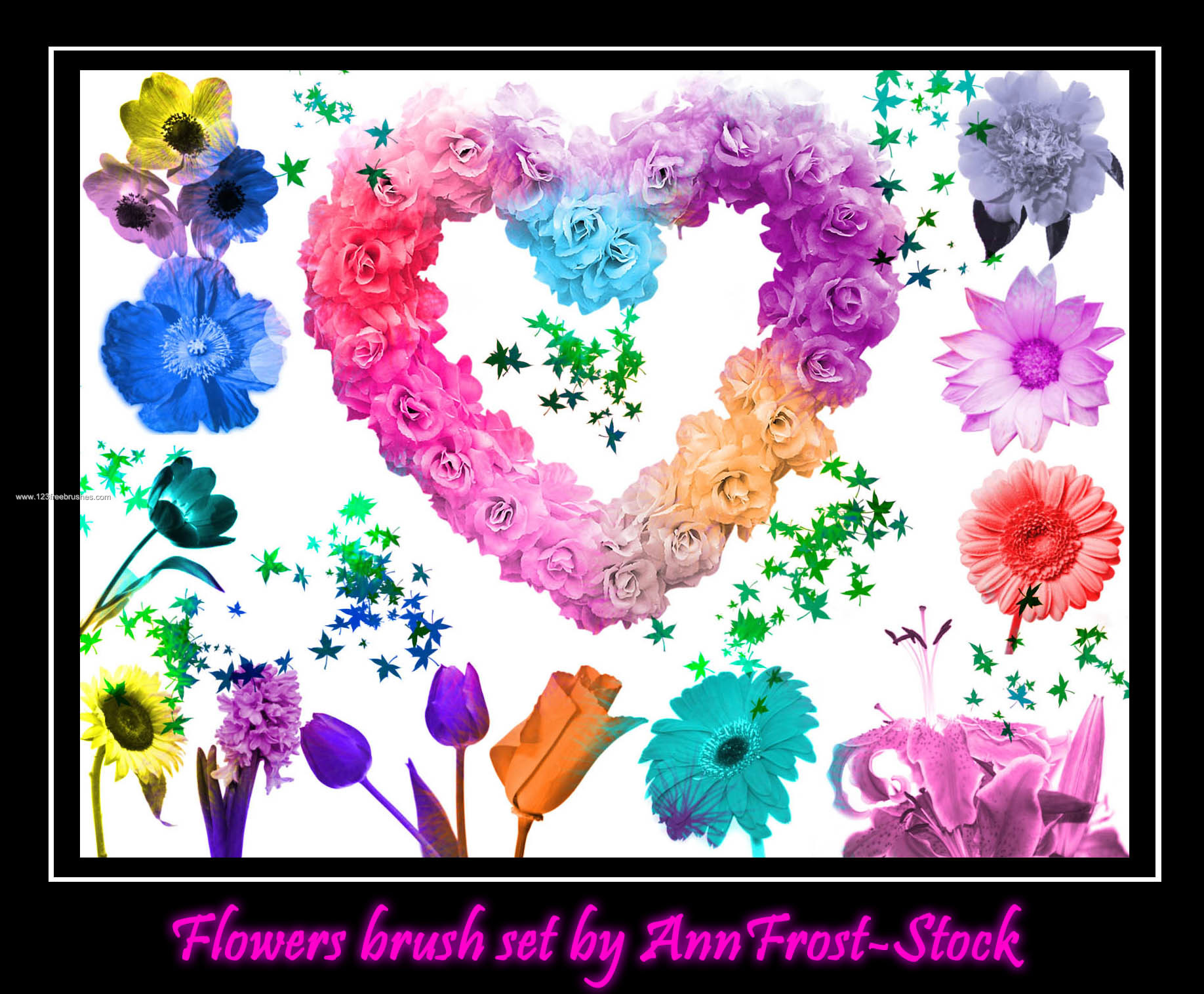 Flower Brushes Photoshop 7 Free Download