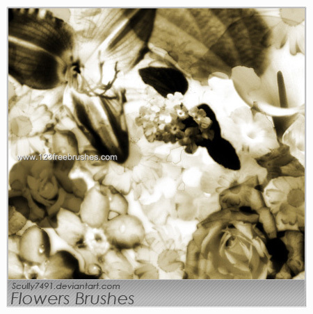 Flower Brushes For Photoshop Cs4