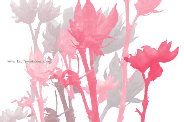 Free Floral Brushes Photoshop