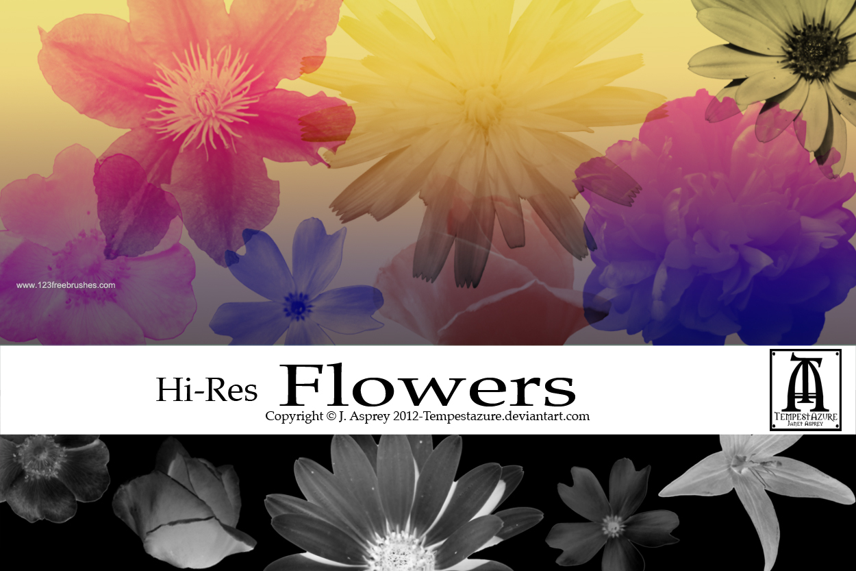Flower Design Brushes For Photoshop Cs5
