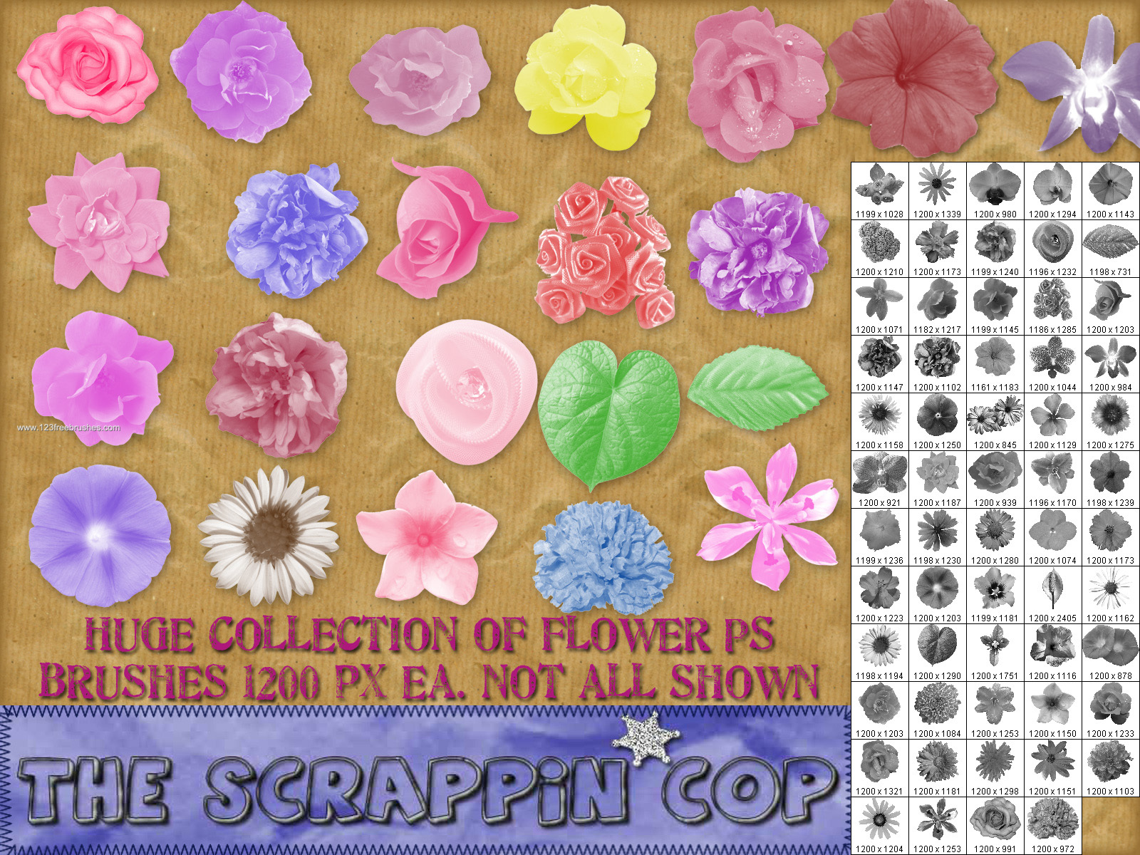 download flower brushes for photoshop cs5