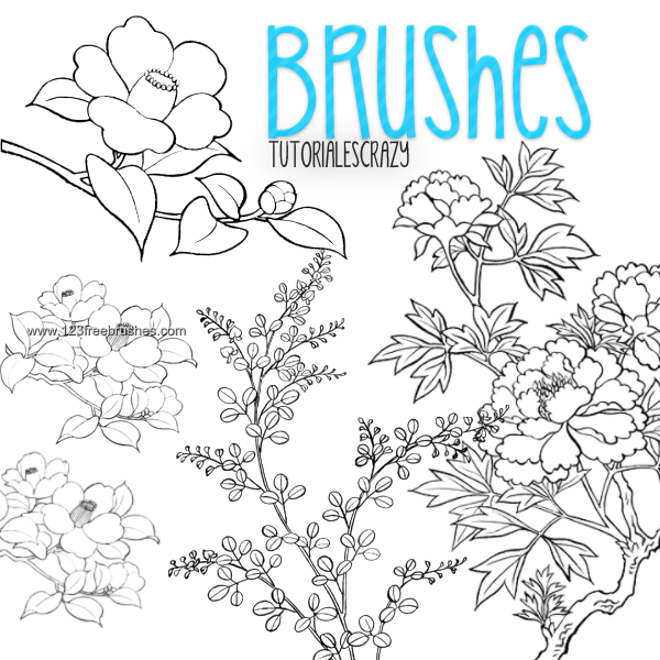Flower Brushes Review