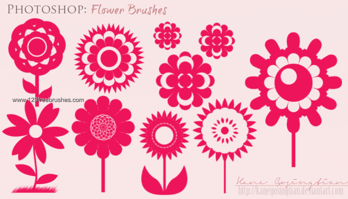 Flower Brushes Cs6