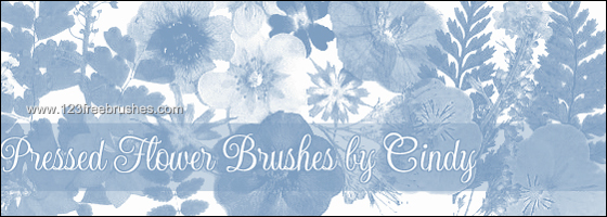 Flower Design Brushes For Photoshop