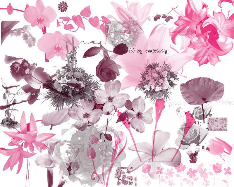 Floral Brushes In Photoshop Cs5