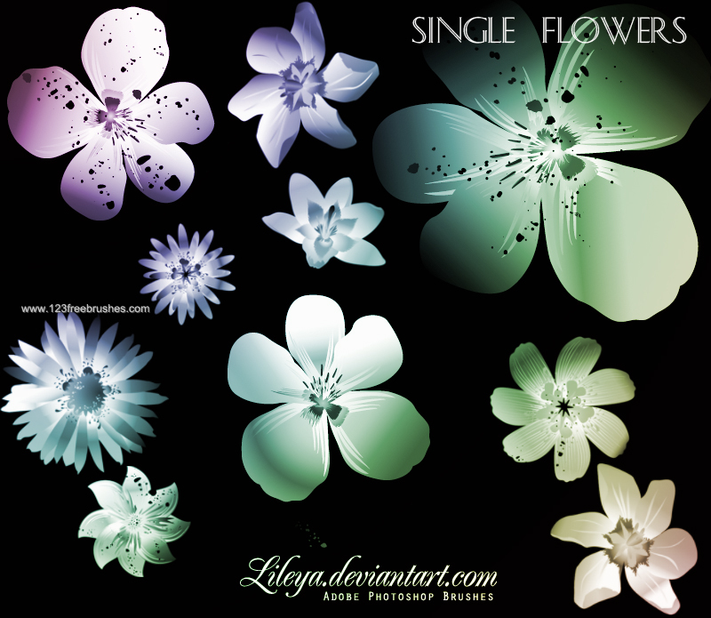 Floral Ornament Brushes For Photoshop Cs5