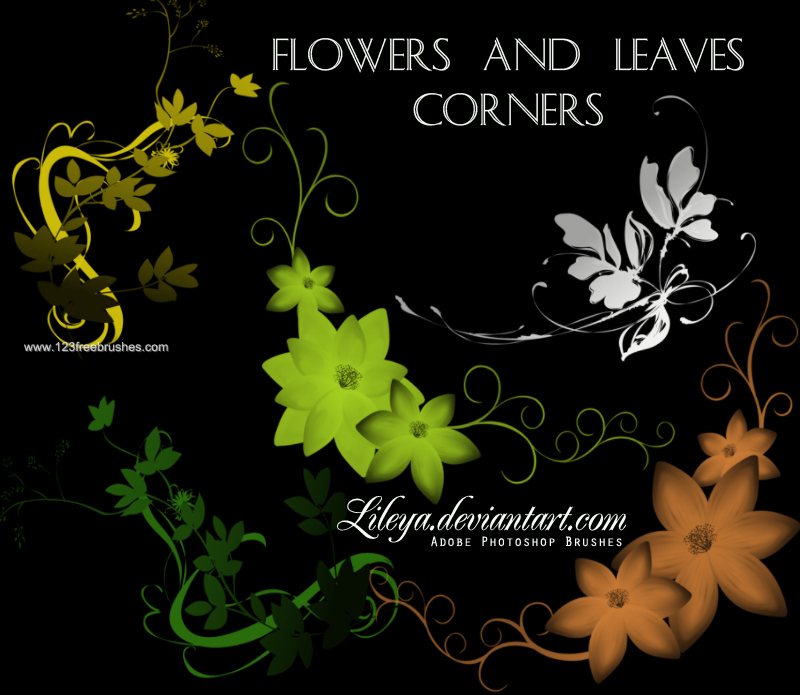 Flowers and Leaves Corners