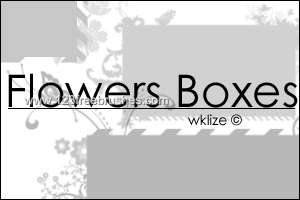 Flowers Boxes