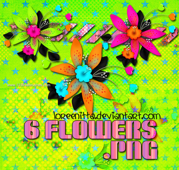 Flowers Colours