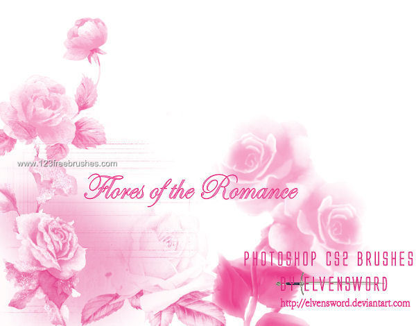 Romantic Rose Flowers
