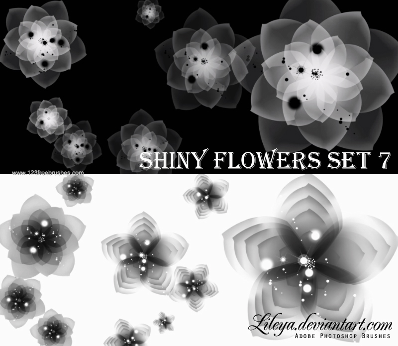 Shiny Flowers