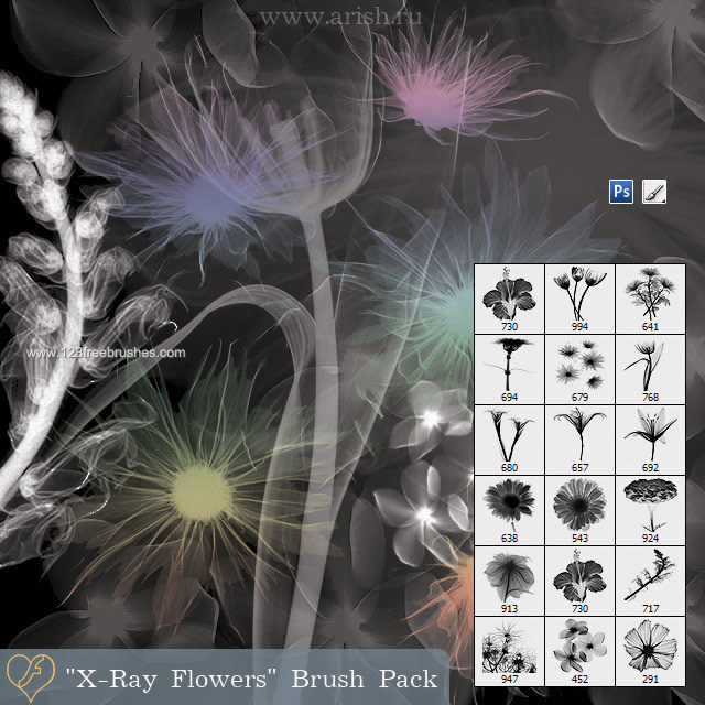 X-Ray Flowers