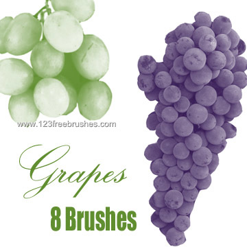 Grapes 1