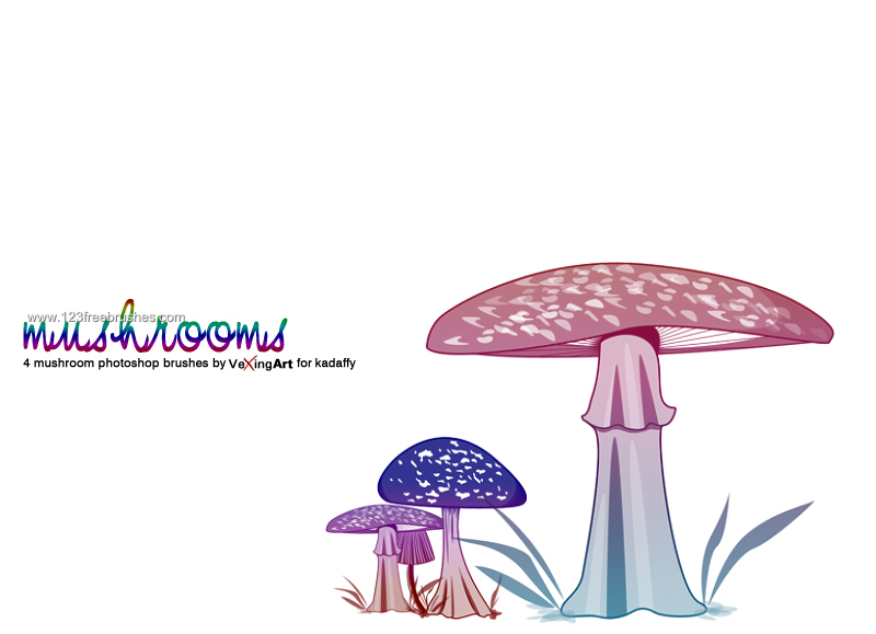 Mushrooms 9