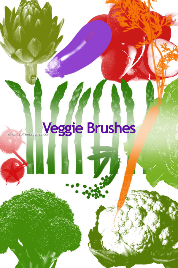Vegetables – Carrot – Tomato – Eggplant – Cauliflower