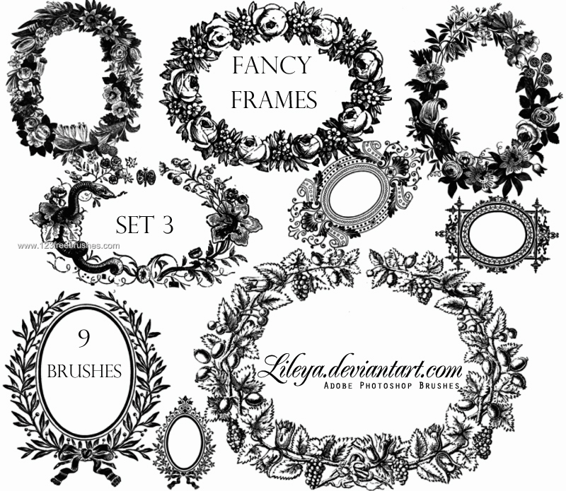 Fancy Oval Frames