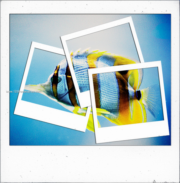 Polaroid Frames Set 22