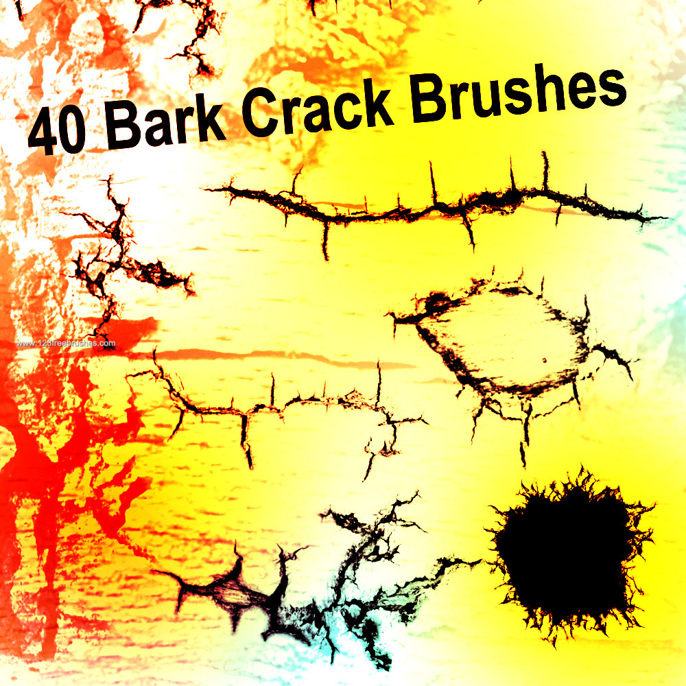 Bark Crack